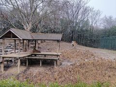 -扬州市茱萸湾风景区