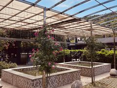 -三江森林温泉度假区