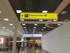 -谢列梅捷沃国际机场