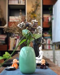 -酉嘉瑜伽YO+YOGA