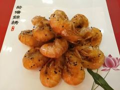 -陆公馆(新华西路店)