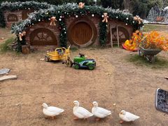 -HERRE·FARM 赫尔露营农场·团建聚会包场