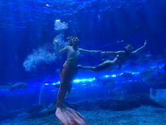 -华夏文旅海洋公园