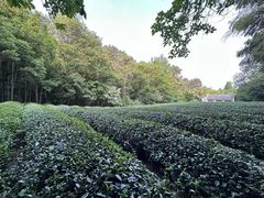 -敬亭山风景名胜区