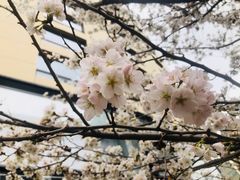 -中心大酒店·本味餐厅