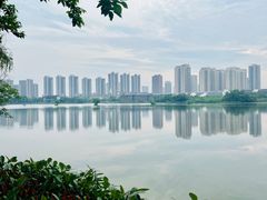 -洋湖国家湿地公园