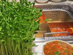 现剪现吃豌豆苗-海底捞大排档火锅(悦荟广场店)
