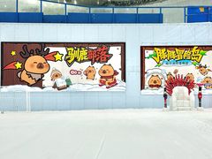 -哈尔滨热雪奇迹