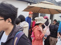 -苏州市吴中区光福窑上花果蜜饯厂