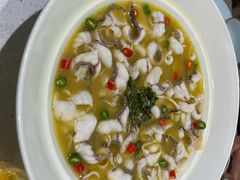 -青花椒花椒鱼(合生汇店)