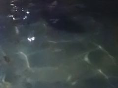 -湖泉半山温泉(湖泉生态园)