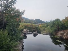 -徂徕山森林康养度假谷温泉