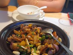 -鸽小宝(深圳首店)