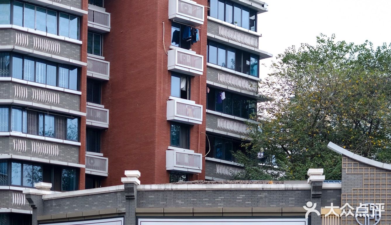 沙胆彪快开奶茶店吧!鸳鸯和丝袜真的好喝💥