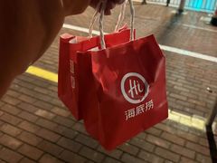 -海底捞火锅(正大乐城店)