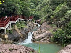 -广州白江湖森林公园