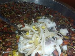 -雲蜀龙阁·金牌水煮鱼(方庄店)