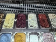 -iceason爱茜茜里·意大利健康冰淇淋(骑龙巷店)