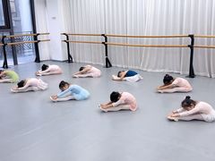 -中央芭蕾舞团·中芭艺蕾(酒仙桥明星校区)