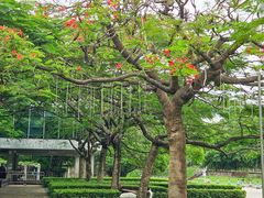 -缘生态云南菜·野生菌庭院餐厅(华侨城店)