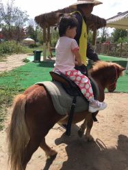 -萌宠亲子动物乐园(槐房万达店)