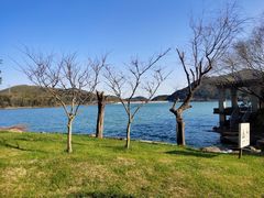 -宁波九龙湖开元度假村