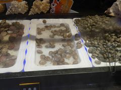 -韩盛炭火烤肉(万达广场店)
