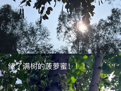 -广州动物园