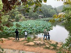 -团城山公园