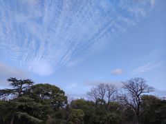 -上海市龙华烈士陵园