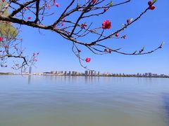 -无锡蠡湖国家湿地公园-蠡园