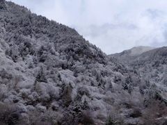 -叠溪松坪沟景区