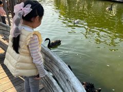 -广州融创文旅城