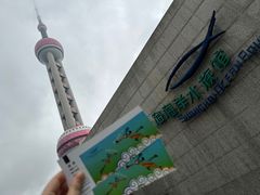 -上海海洋水族馆