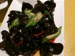 -素虎小呆鸟(西二旗店)
