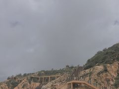 -广东惠东海龟国家级自然保护区