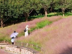 -牛岗山公园