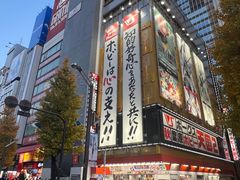 -秋叶原电器街