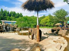 -北京野生动物园