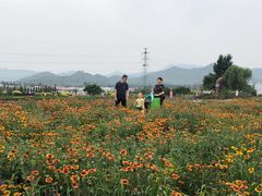 -君乐宝优致牧场