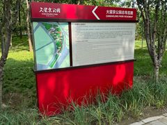 -大望京公园