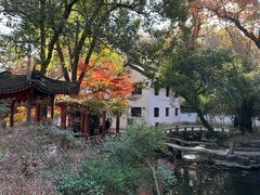 -兴福禅寺
