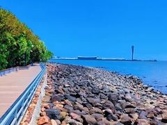 -上海吴淞炮台湾国家湿地公园