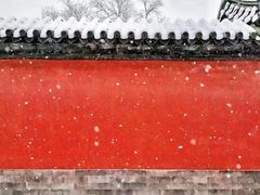 -北京市府学胡同小学