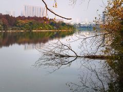 -金银湖国家城市湿地公园