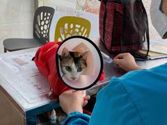 -荔康动物医院(康王北路店)