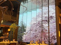 -桂满陇·海市蜃楼·黑金(国金店)