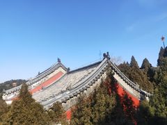 -龙口南山旅游景区