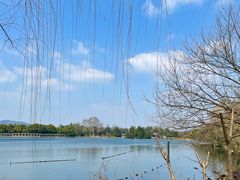 -西湖游船