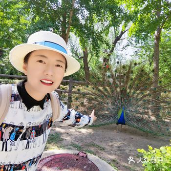 免费遛娃好去处，大兴麋鹿苑